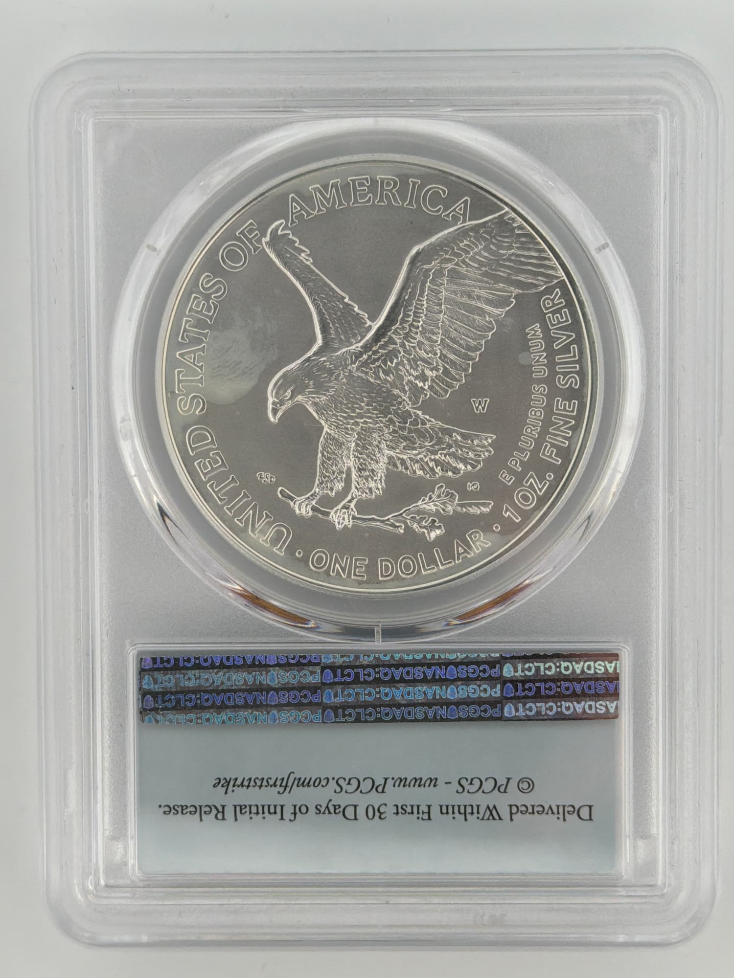 2022-W Burnished Silver Eagle $1 PCGS SP69 First Strike - Alternate view