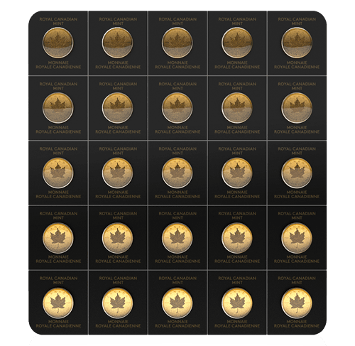 2021 25x 1 gram Gold Maple Leafs Maplegram25™ | In Assay Sleeve - Alternate view
