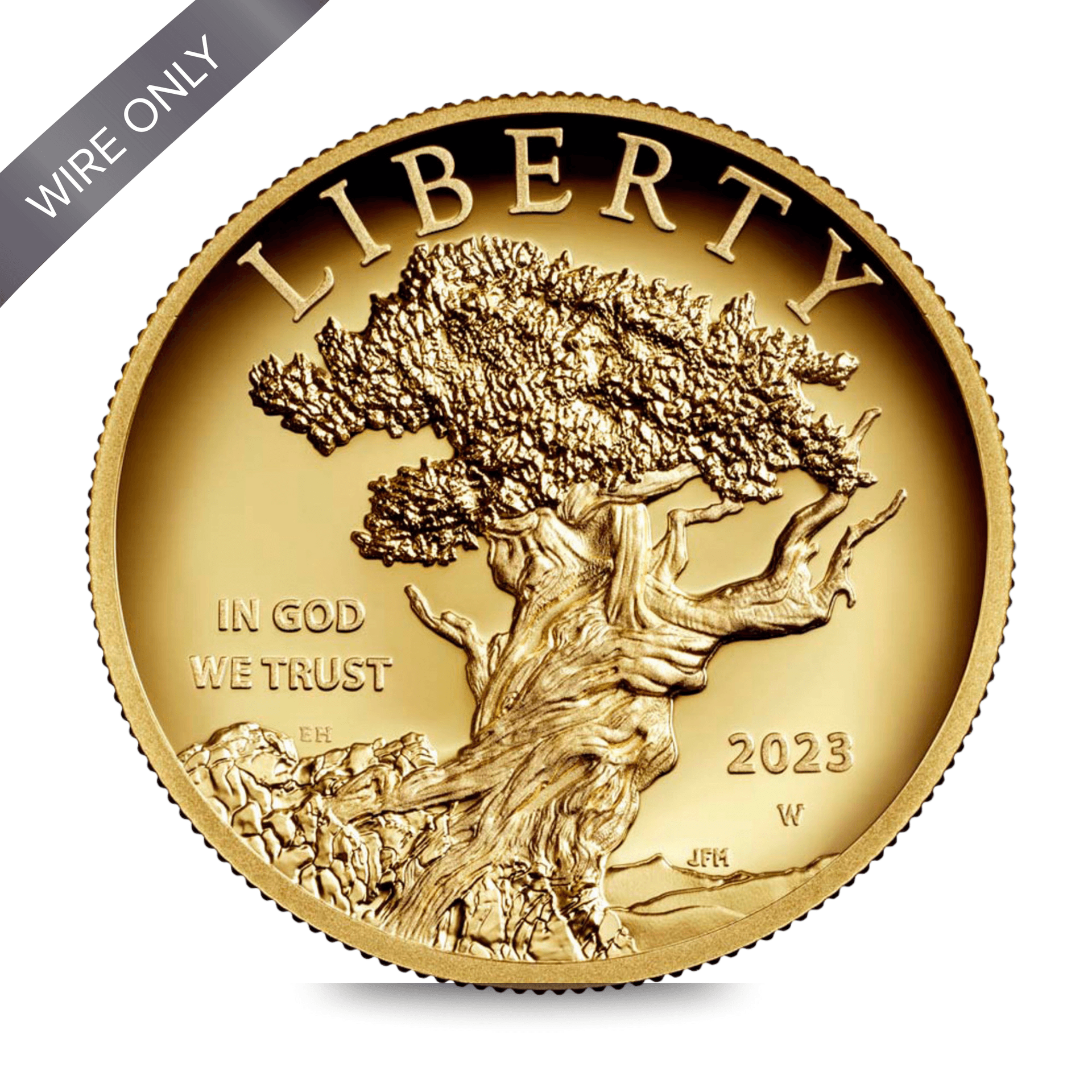 2023-W $100 American Liberty High Relief gold coin obverse showing ancient bristlecone pine tree, LIBERTY, IN GOD WE TRUST, and W mint mark