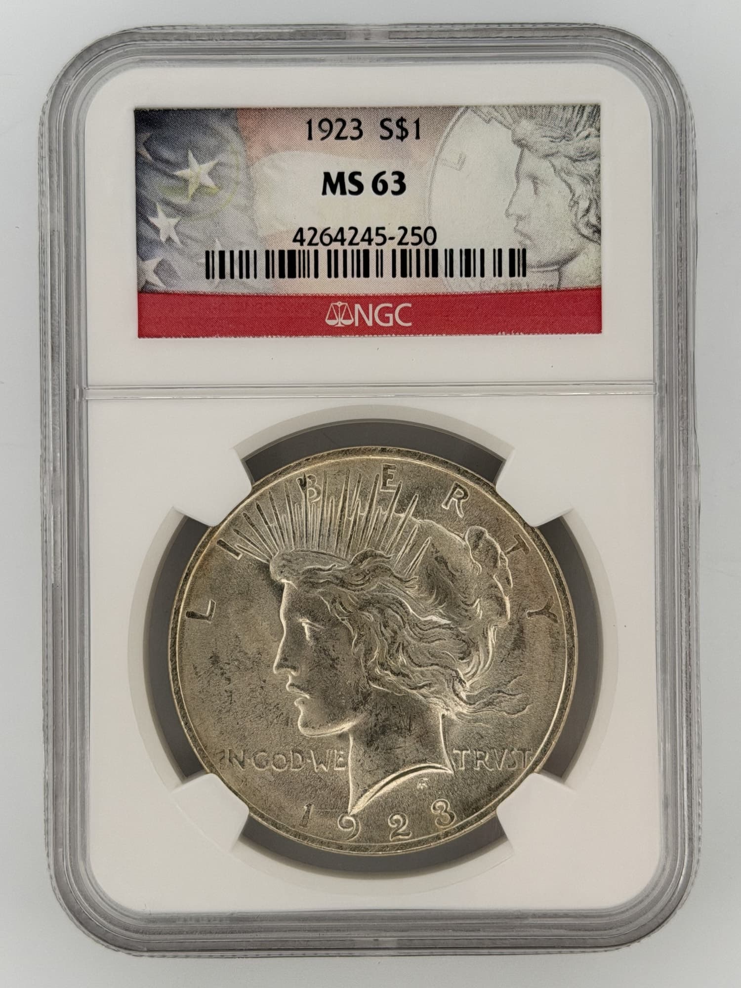 1923 Peace Dollar NGC MS 63 obverse showing Liberty portrait with radiant crown in NGC slab cert 4264245-250